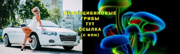 шишки Куйбышев