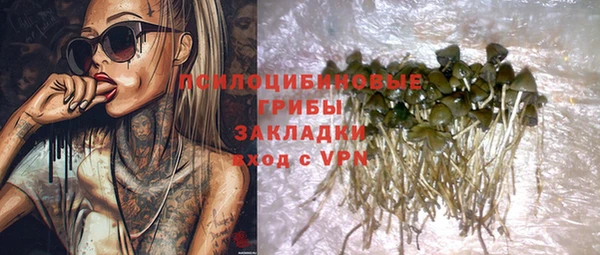 шишки Куйбышев