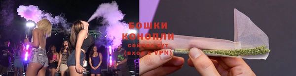шишки Куйбышев