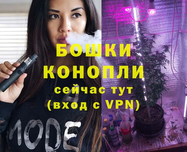 шишки Куйбышев