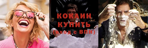 шишки Куйбышев