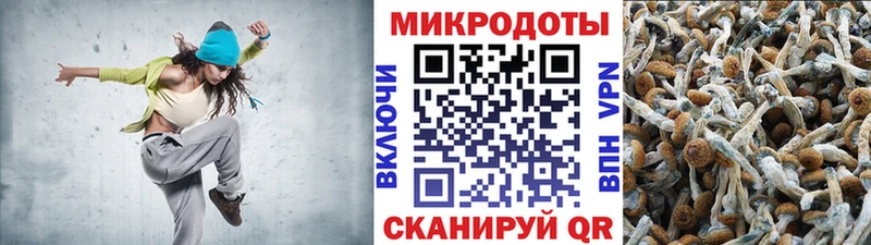 Псилоцибиновые грибы GOLDEN TEACHER  Медвежьегорск 
